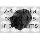 SASIC 2300053