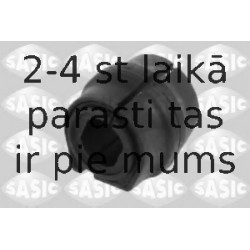 SASIC 2300053