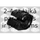 SASIC 2300051