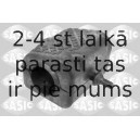 SASIC 2300048