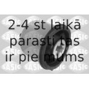 SASIC 2600013