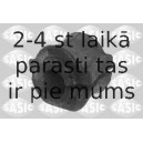 SASIC 2300041