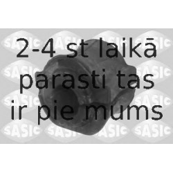 SASIC 2300041