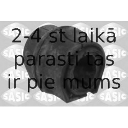 SASIC 2300034