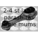 SASIC 2704087