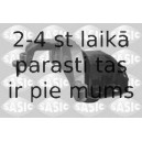 SASIC 2704048