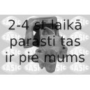 SASIC 2704041