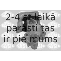 SASIC 2704041