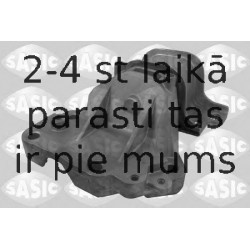 SASIC 2700055
