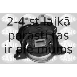 SASIC 2700046