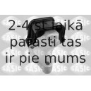 SASIC 2700045
