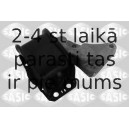 SASIC 2700034