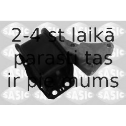 SASIC 2700034