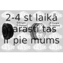 SASIC 2156038