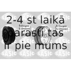 SASIC 2156038