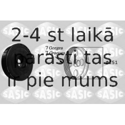 SASIC 2154018