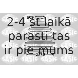 SASIC 1904026