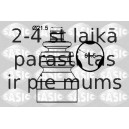 SASIC 1904015