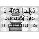 SASIC 1904007