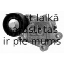 Siksnas spriegotājs, Ķīļsiksna FEBI BILSTEIN 22369