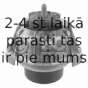 Piekare, Dzinējs FEBI BILSTEIN 32069