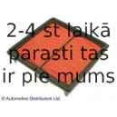 Воздушный фильтр BLUE PRINT ADH22232