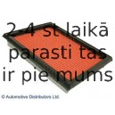 Воздушный фильтр BLUE PRINT ADS72207