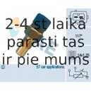 FAE 34440