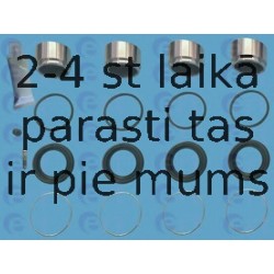 Remkomplekts, Bremžu suports ERT 402187