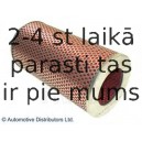 Воздушный фильтр BLUE PRINT ADT32248