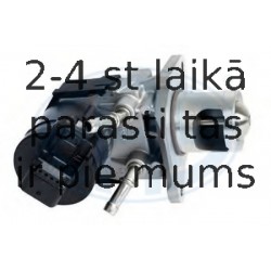 Клапан возврата ОГ ERA 555248