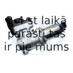 Izpl. gāzu recirkulācijas vārsts ERA 555125