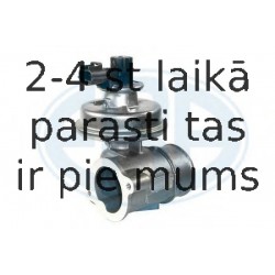 Izpl. gāzu recirkulācijas vārsts ERA 555069
