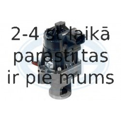 Izpl. gāzu recirkulācijas vārsts ERA 555068