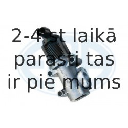 Izpl. gāzu recirkulācijas vārsts ERA 555035