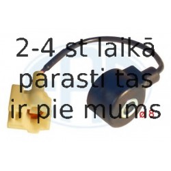 Detonācijs devējs ERA 550621