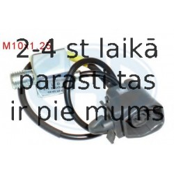 Detonācijs devējs ERA 550341