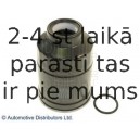 Топливный фильтр BLUE PRINT ADD62306