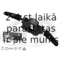 ERA 440397