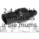 ERA 330247