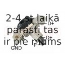 ERA 215293