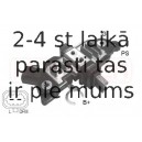 ERA 215232