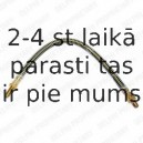 Тормозной шланг DELPHI LH3256