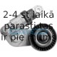 Натяжитель ремня, клиновой зубча DAYCO APV2276