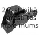 Piekare, Dzinējs CORTECO 80004479