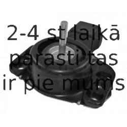 Piekare, Dzinējs CORTECO 80004484