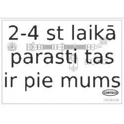 Bremžu šļūtene CORTECO 19036438