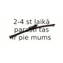 Stikla tīrītāja slotiņa CHAMPION AF25/B01