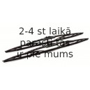 Stikla tīrītāja slotiņa CHAMPION AW6555/B02