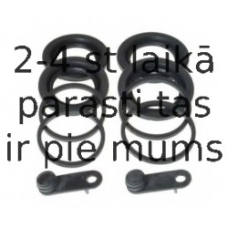 BUDWEG CALIPER 204410